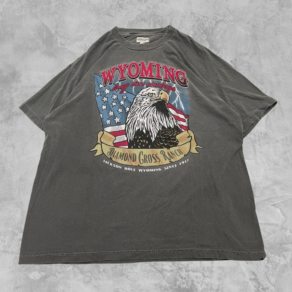Vintage Wyoming Diamond Cross Ranch Eagle Graphic T-Shirt Mens 2XL Gray